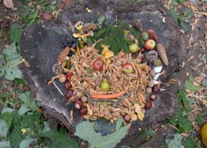 Mehr über den Artikel erfahren Kreative Herbstkunst nach Arcimboldo
