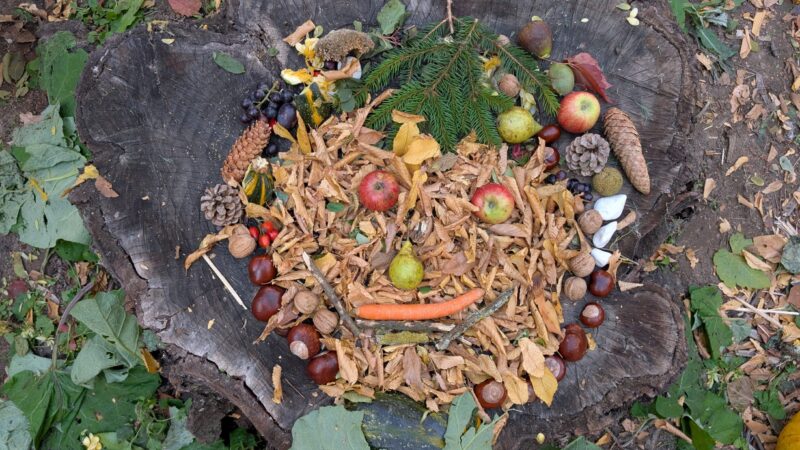 Kreative Herbstkunst nach Arcimboldo