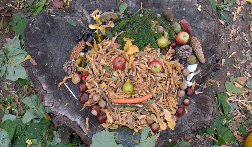 Kreative Herbstkunst nach Arcimboldo