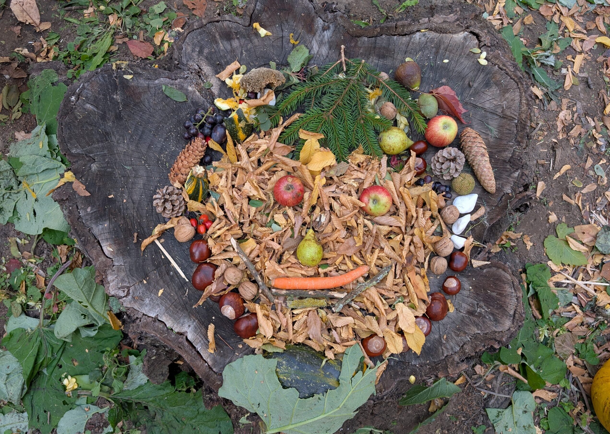 Sie betrachten gerade Kreative Herbstkunst nach Arcimboldo
